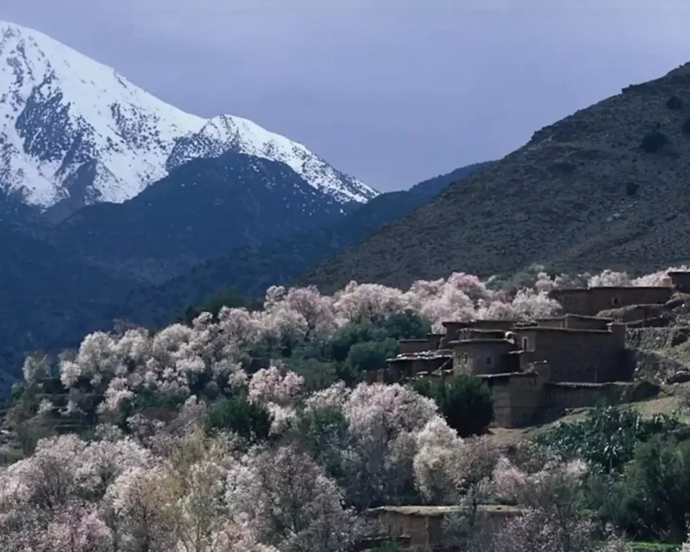 High Atlas mountains