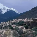 High Atlas mountains