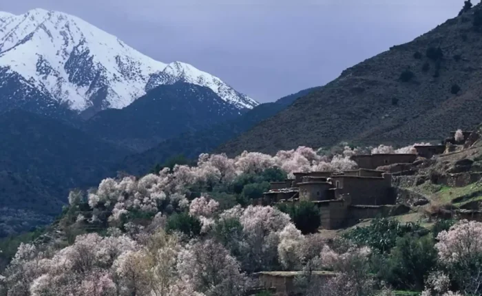 High Atlas mountains