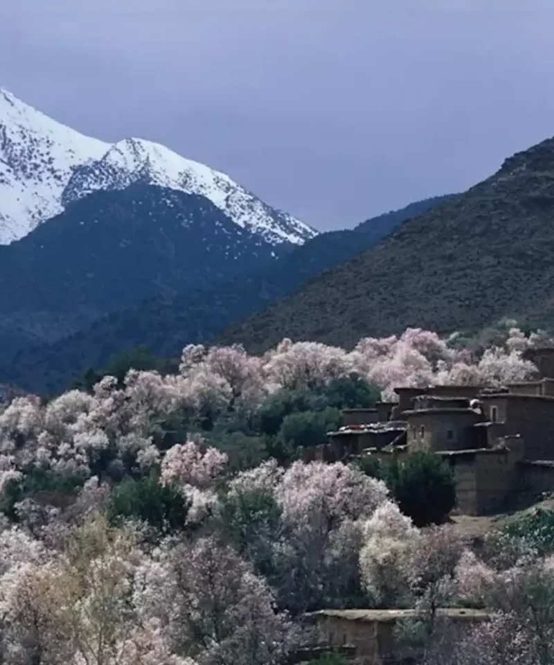 High Atlas mountains