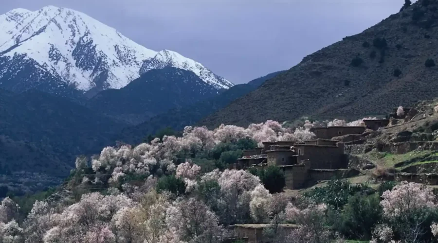 High Atlas mountains