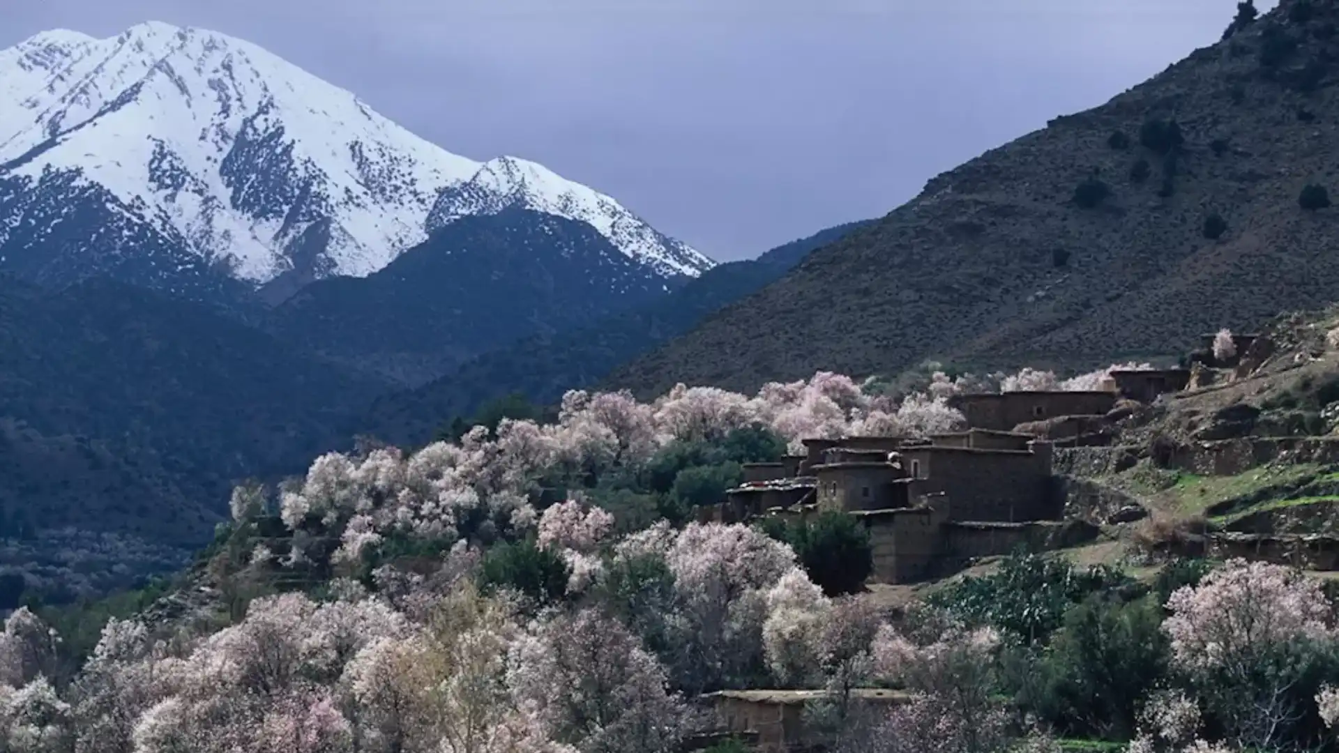 High Atlas mountains